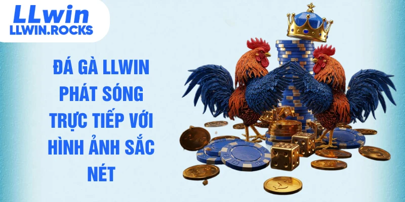 Đá gà LLWIN phát sóng trực tiếp với hình ảnh sắc nét