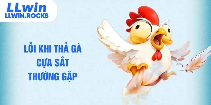 Lỗi khi thả gà cựa sắt thường gặp