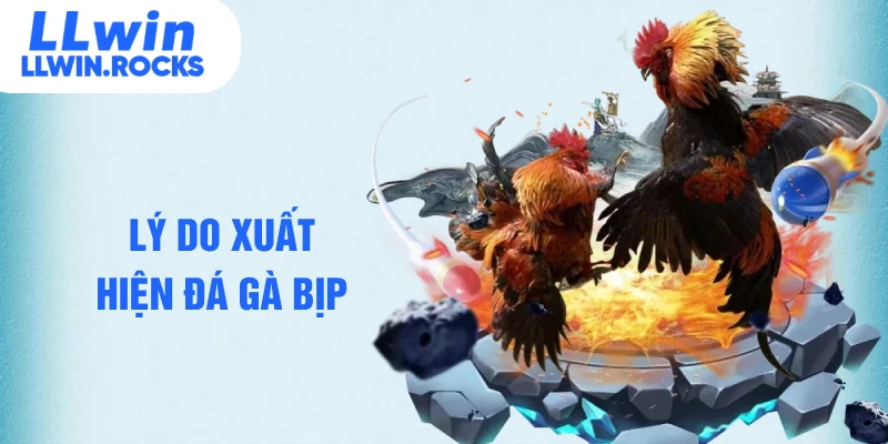 Lý do xuất hiện đá gà bịp