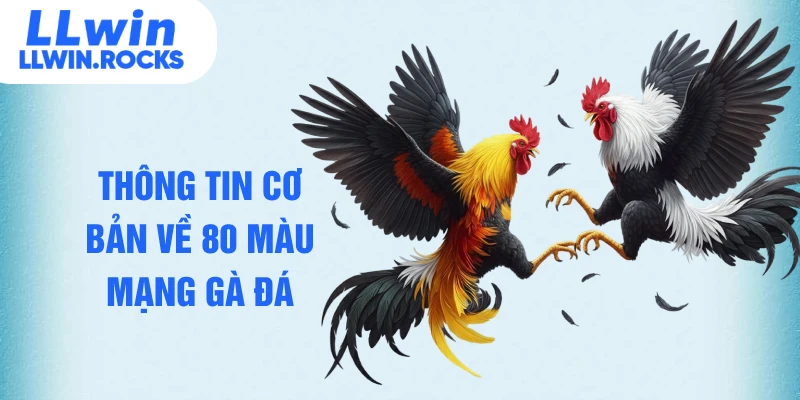 Thông tin cơ bản về 80 màu mạng gà đá