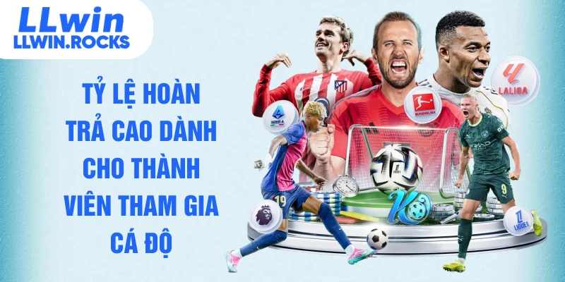 Tỷ lệ hoàn trả cao dành cho thành viên tham gia cá độ